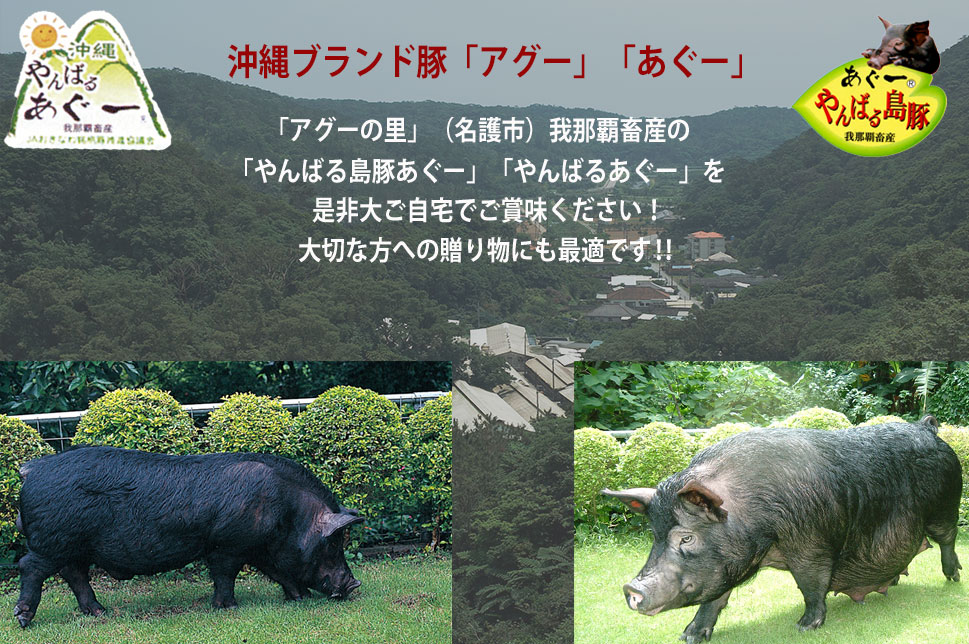 島豚あぐー300g】やんばる島豚あぐーしゃぶしゃぶ用肉300g
